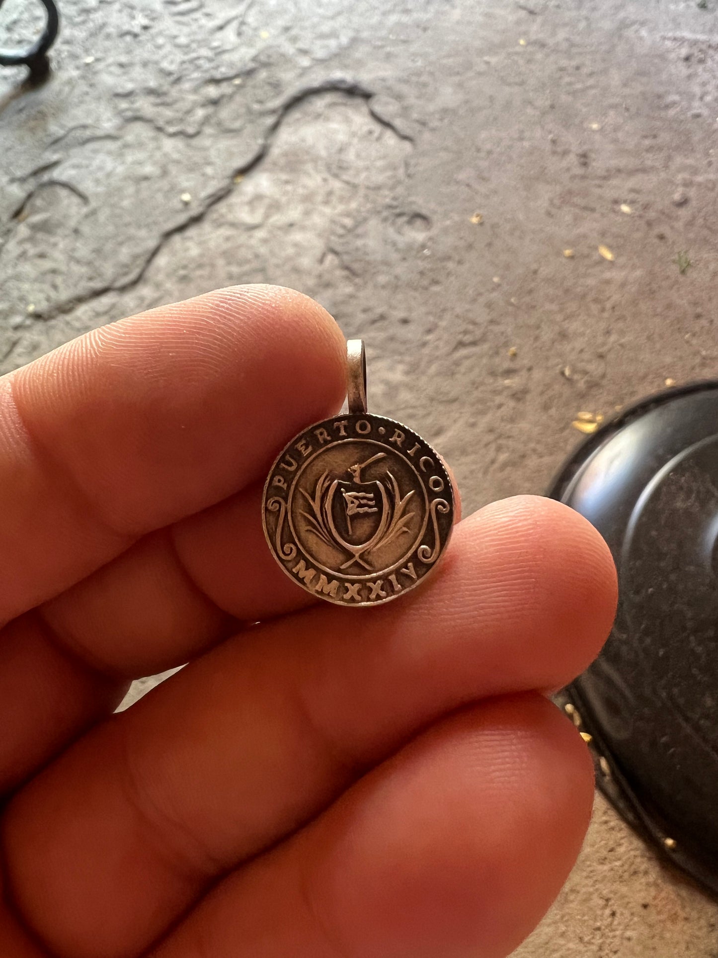 LA MONEDA 2024 - PLATA