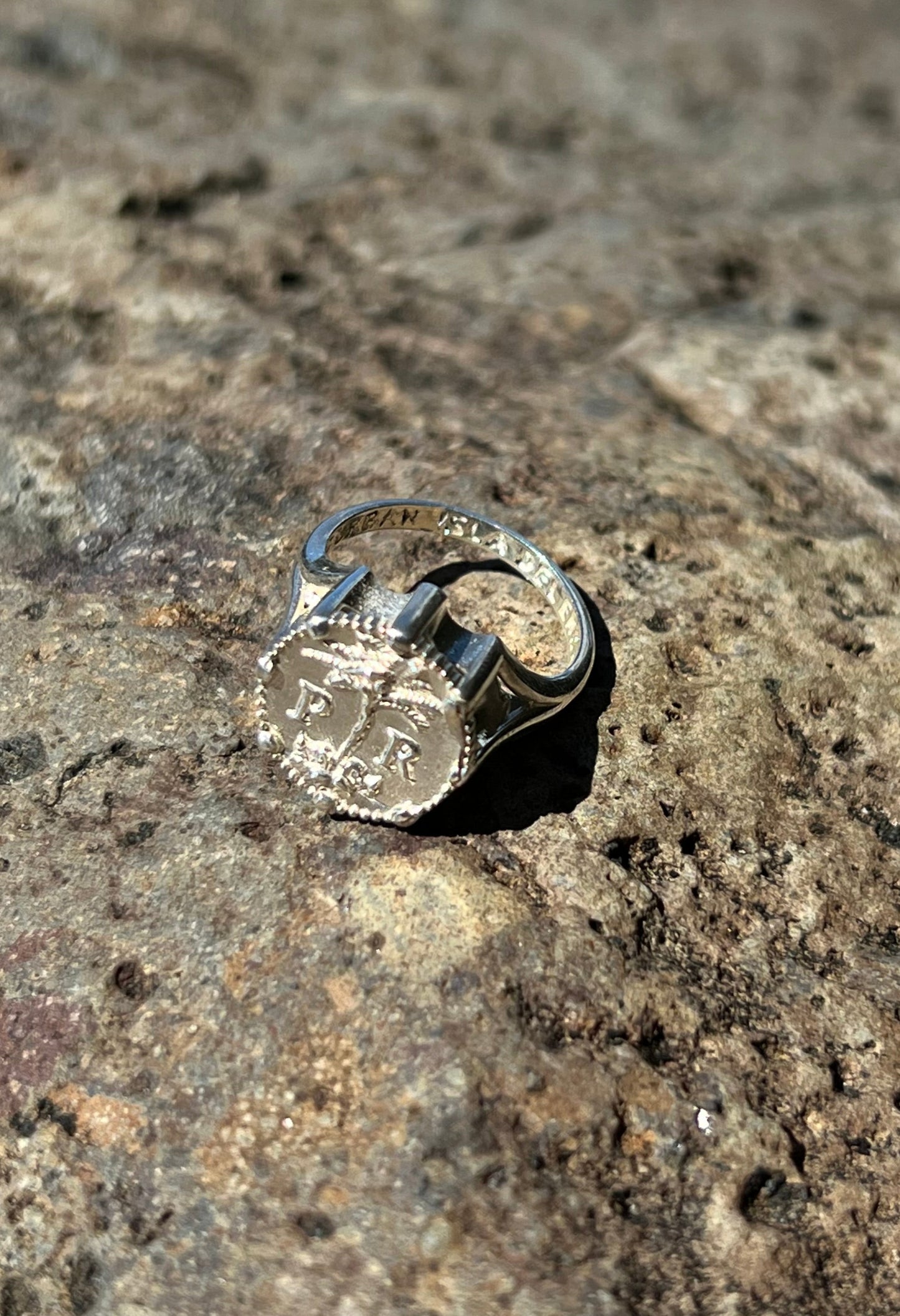 ISLA DEL ENCANTO RING - PLATA