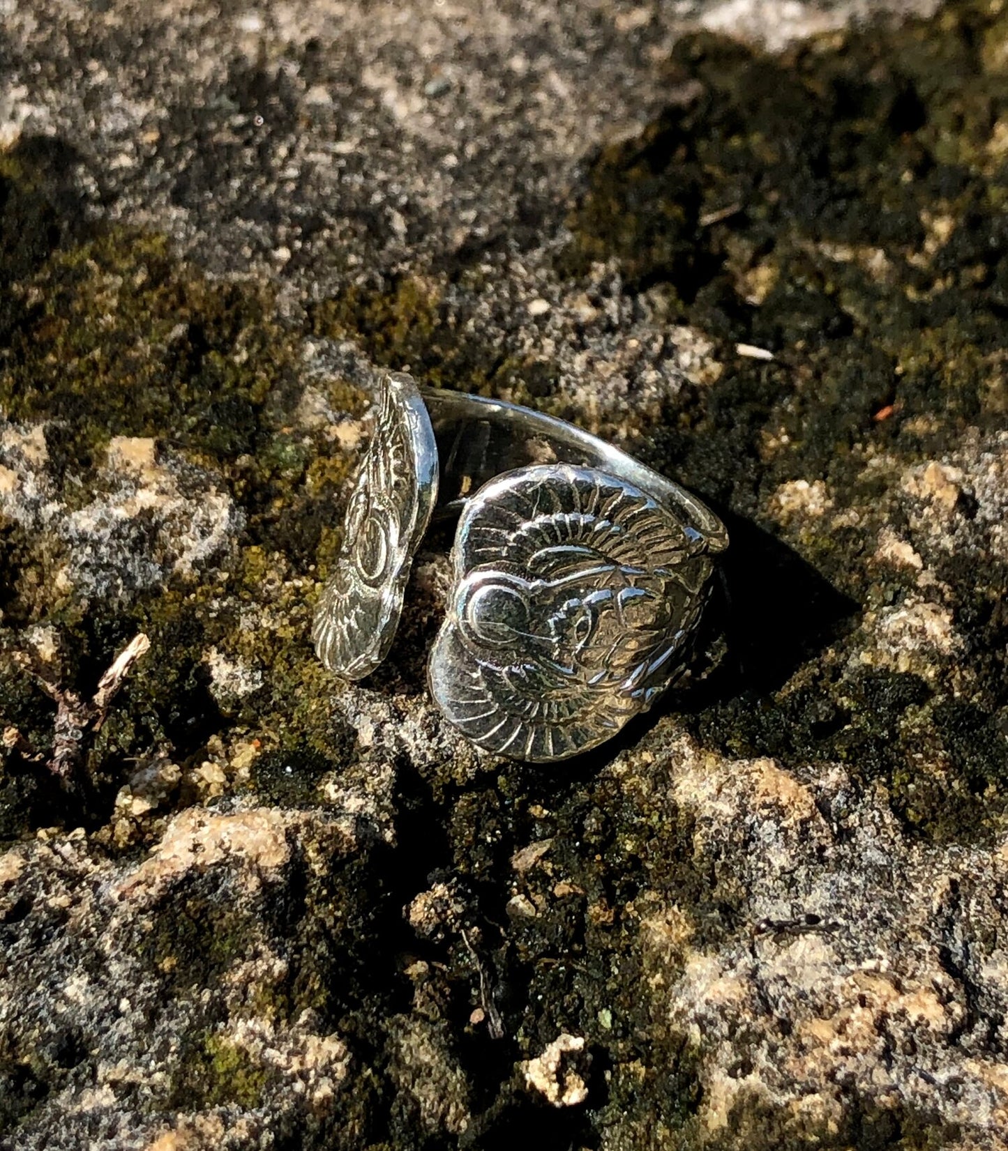 ESCARABAJO - PLATA