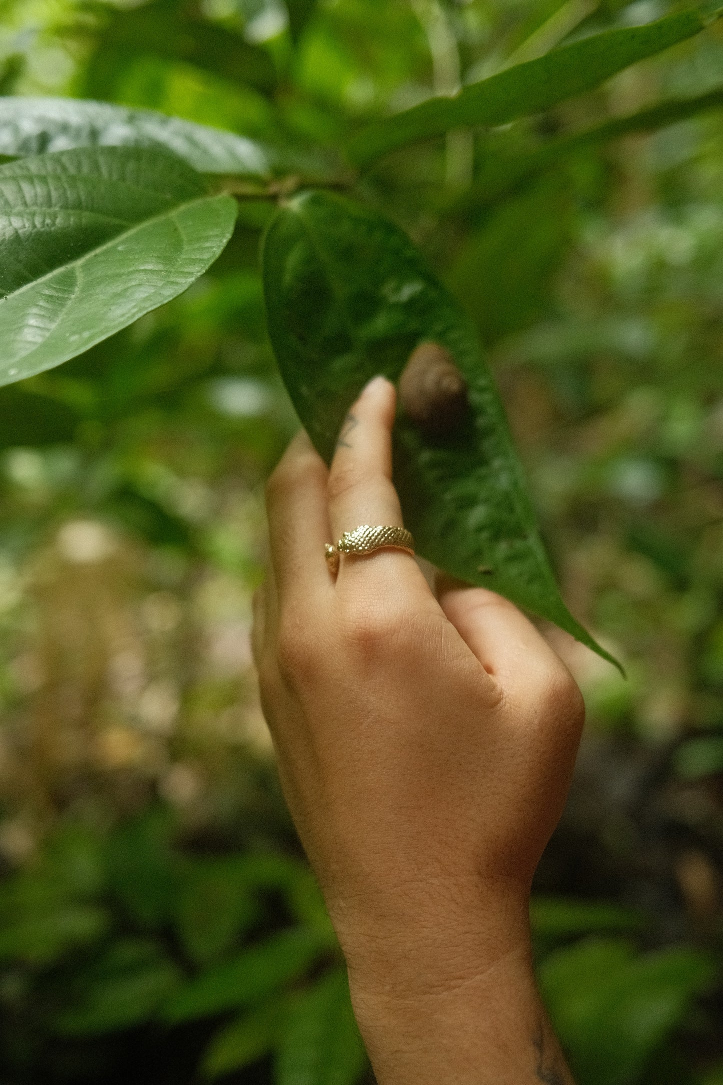 BOA RING - BRASS