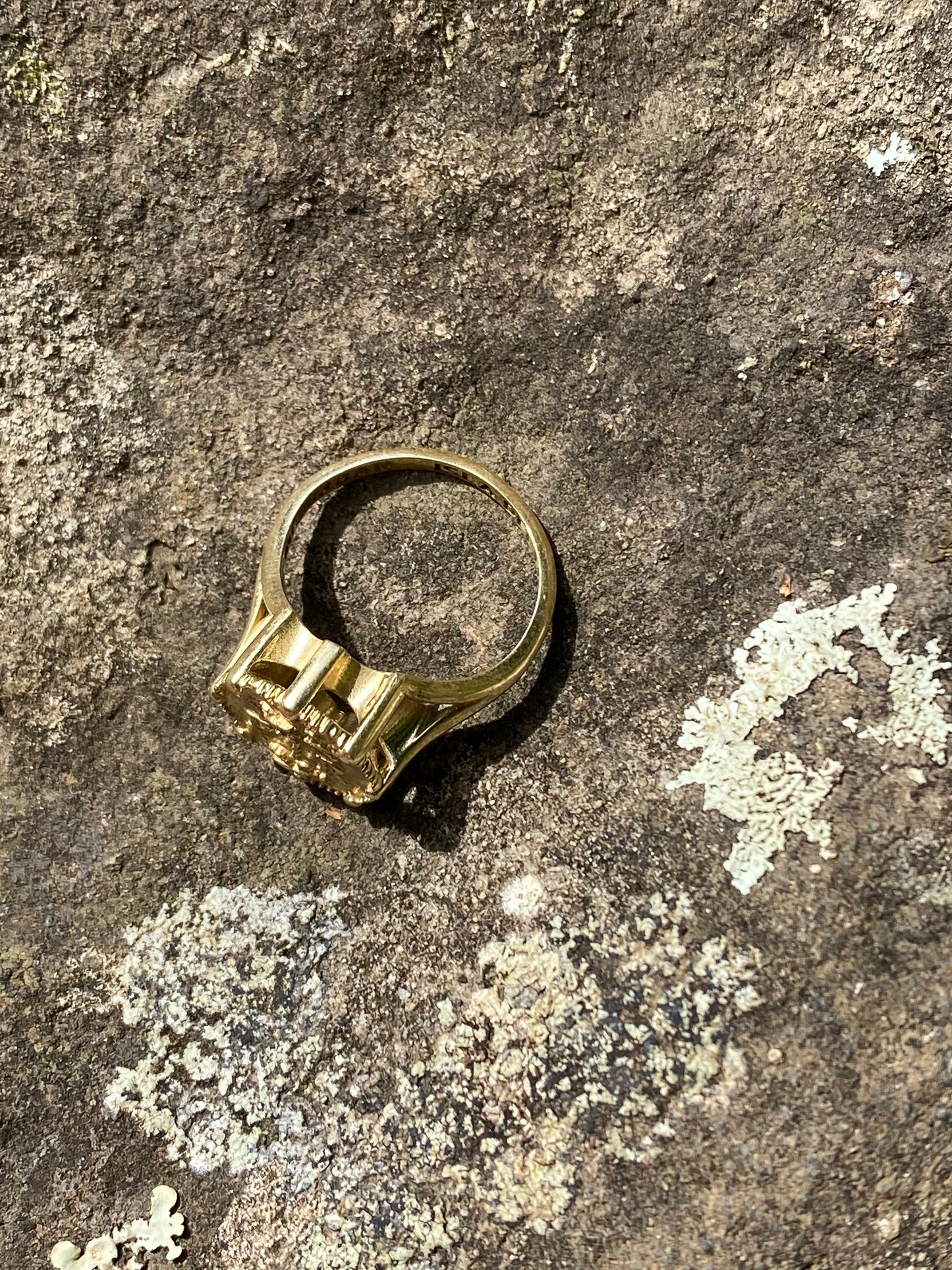 ISLA DEL ENCANTO RING - BRASS