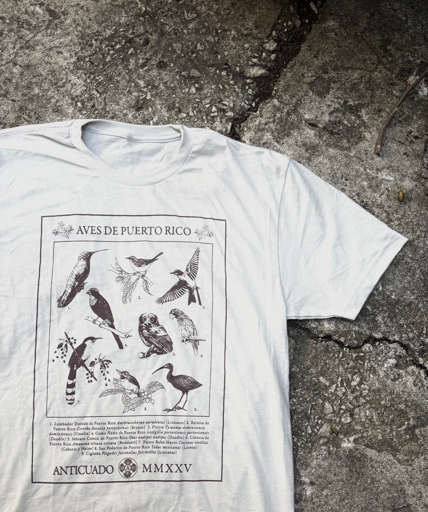 AVES DE P.R.